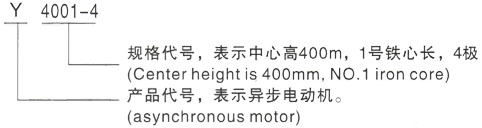 西安泰富西玛Y系列(H355-1000)高压YKK5602-6/1000KW三相异步电机型号说明