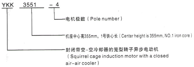 YKK系列(H355-1000)高压YKK5602-6/1000KW三相异步电机西安泰富西玛电机型号说明